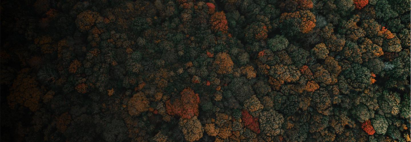 An Open Repository of Real-Time COVID-19 Indicators